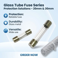 Fusible en tube de verre 5*20MM à faible capacité de rupture, fusible automobile métallique, conception transparente