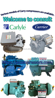 Compresseur alternatif à entraînement ouvert Carlyle Carrier d'origine 5H40 5H46 5H60 pour chambre froide marine et système de refroidissement à eau de mer