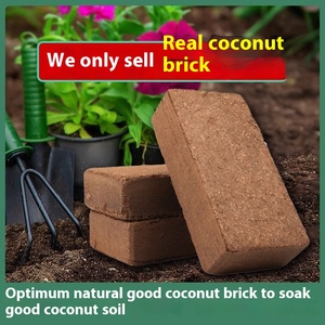 Sol de noix de <span class=keywords><strong>coco</strong></span> sous forme de bloc de qualité supérieure Terre de tourbe de noix de <span class=keywords><strong>coco</strong></span> riche en nutriments Terre de coquille de noix de <span class=keywords><strong>coco</strong></span> pour une croissance saine des plantes Jardinage optimal - Product Image 5
