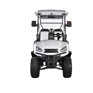 New Energy Vehicle Off Road Street Legal 48v 72v Lithium Battery Carts Car Buggy 2 Seater Electric Golf Cart With Cargo