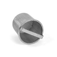 Filtre à mailles rondes personnalisable, baril en acier inoxydable 304, panier perforé, baril en maille métallique