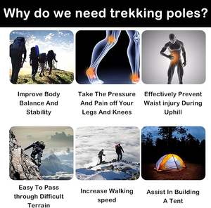 Goodwin-<span class=keywords><strong>Bastones</strong></span> <span class=keywords><strong>de</strong></span> <span class=keywords><strong>Trekking</strong></span> Retráctiles Ultraligeros con Logotipo Personalizado, Bastón Telescópico Antichoque <span class=keywords><strong>de</strong></span> Aleación <span class=keywords><strong>de</strong></span> Aluminio - Product Image 5