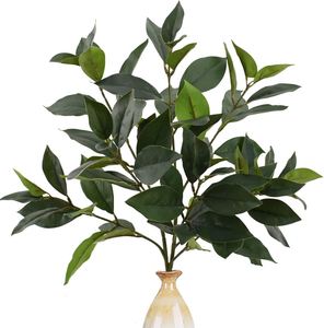Nueva Llegada de Hojas de Jazmín Africanas Artificiales de Látex, Ecológicas, para Decoración de Bodas, Navidad, Año Nuevo, Sala de Estar y Jardín - Product Image 1