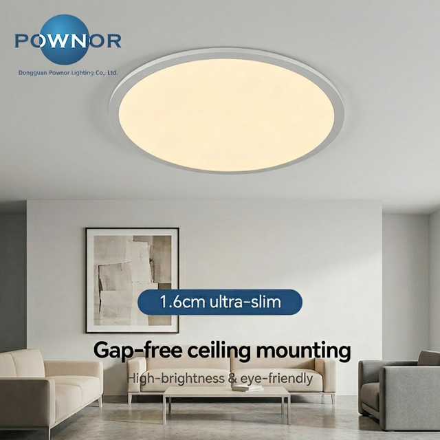 Farmhouse High Output 60W 450MM IP20 AC LED Ceiling Light Dimmable Remote Switch Control Fixture Modern Interior Design Lighting