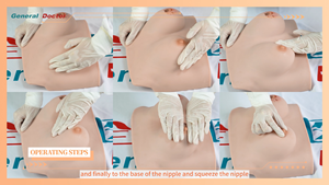 Modelo <span class=keywords><strong>de</strong></span> Inspección <span class=keywords><strong>de</strong></span> Senos GD/F7A, Modelo <span class=keywords><strong>de</strong></span> Senos para <span class=keywords><strong>Enseñanza</strong></span> Médica - Product Image 4