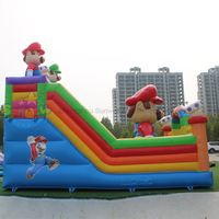 Toboggans gonflables Marioo Bros Super Bros Marioo Aire de jeux gonflable Parc d'attractions à vendre