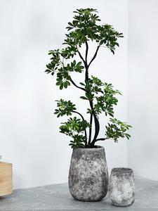 <span class=keywords><strong>Maceta</strong></span> grande minimalista de cemento en forma de huevo de pato de alta gama, <span class=keywords><strong>maceta</strong></span> de planta verde de diamante negro de madera de <span class=keywords><strong>pie</strong></span> de pato - Product Image 4