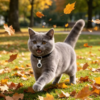 Mini traceur GPS mondial anti-perte Bluetooth avec suivi en temps réel et autonomie de 1 an pour chiens/chats, alternative à l'AirTag pour animaux de compagnie
