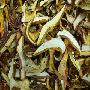 Seta roja seca cruda natural preciosa de <span class=keywords><strong>Boletus</strong></span> para la venta - Product Image 3