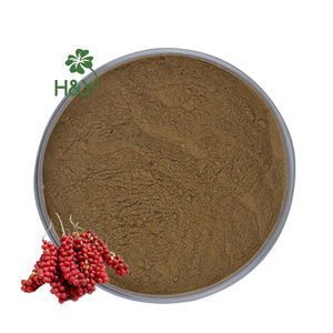 Pasokan grosir ramuan murni <span class=keywords><strong>Fructus</strong></span> <span class=keywords><strong>Schisandrae</strong></span> bubuk ekstrak Schisandra Chinensis bubuk - Product Image 1