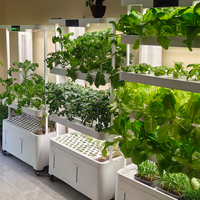 Système de culture hydroponique vertical intelligent pour la maison, jardinière mobile intelligente avec éclairage LED pour les herbes