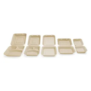 Eco-friendly Degradável Biodegradável Cana Pulp Clamshell Take Away Food Packaging Lunch Box