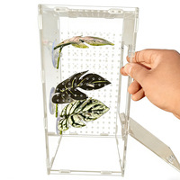 Plateforme d'escalade à ventouse renforcée pour reptiles, crabes ermites, poissons betta, tortues, monstera, gecko, araignées sauteuses