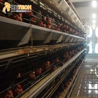 Système de collecte automatique des œufs pour des œufs plus propres, Cage de batterie avicole H Frame 3 niveaux 4 niveaux pour poules pondeuses