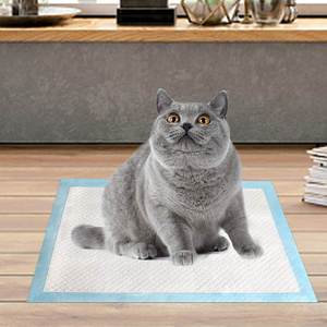56cmx56cm Alèses d'apprentissage jetables économiques pour animaux de compagnie, à charbon actif, haute absorption, pour nettoyage, direct usine - Product Image 5