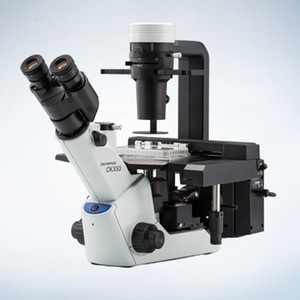 กล้องจุลทรรศน์กลับหัว Olympus CKX53 ระบบภาพนิวเมติกแบบเฟสคอนทราสต์ ระบบภาพเรืองแสง โฟกัสแบบแมนนวล สีขาว - Product Image 1