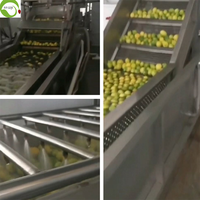 Gedroogde zure gele citroenschijfjes VC fruit bulkverpakking, groothandel suiker