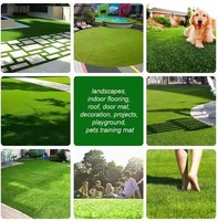 Faux Gazon Artificiel Football Football Tapis Gazon Synthétique Jardin Pelouse Paysage Herbe