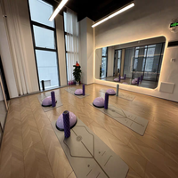 Miroir de danse et de yoga de grande taille pour salle de sport, studio de danse et pilates, miroir rétroéclairé pour salle de sport, vente en gros d'usine