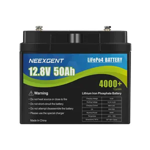 Neexgent kemasan baterai Lithium Lifepo4, 12v 50ah 100ah 200ah DIY dapat diisi ulang