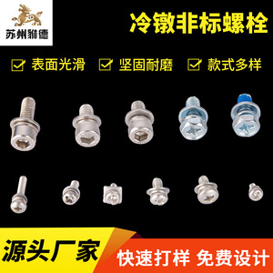 Xinshun Hardware 316 Stainless Steel Screws Pan Head Class 10.9 12.9 Passivated Custom Made Tighten - Product Image 4