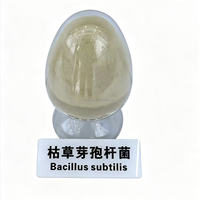 Bacillus Subtilis 100 milliards UFC/g, poudre d'enzymes uniformes de qualité alimentaire, sac de 25 kg, MOQ 1 tonne, durée de conservation 12 mois, pour porcs de chair