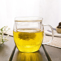 Tasse en verre transparente faite à la main en borosilicate de haute qualité, résistante à la chaleur, 500 ml/17 oz, avec infuseur pour café et thé