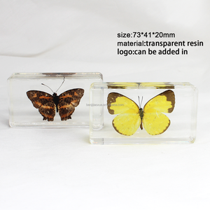 Recursos didácticos, exhibición de artesanías de resina, espécimen de mariposa Real, colección de espécimen preservado de mariposa, regalos para niños - Product Image 4