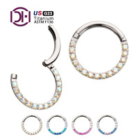 DFARS conforme F136 alliage de titane incrustation cerceau face avant articulé 1mm Ombre fondu gemme Segment Clicker Piercing bijoux