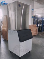 Machine à glaçons gourmet BLG 300 kg
