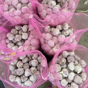 Chất lượng cao hữu cơ 5.0cm tỏi trắng tươi 10kg trong túi lưới hiệu quả chi phí cho thực phẩm sử dụng - Product Image 3