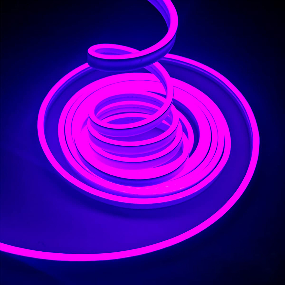 Pourpre
