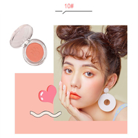 Palette de fard à paupières motif patte de chat, Palette de Blush pour le visage, sans LOGO, 10 couleurs, simple