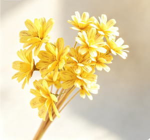 Ramo <span class=keywords><strong>de</strong></span> Flores Secas <span class=keywords><strong>de</strong></span> <span class=keywords><strong>Semillas</strong></span> <span class=keywords><strong>de</strong></span> Girasol Hecho a Mano, Ecológico y Duradero, con Cáscaras <span class=keywords><strong>de</strong></span> Frutas Naturales, Decoración para el Hogar, San Valentín - Product Image 6