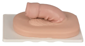 Enseñanza médica Sistema reproductivo masculino quirúrgico <span class=keywords><strong>Circuncisión</strong></span> Modo de <span class=keywords><strong>circuncisión</strong></span> Recursos didácticos - Product Image 3