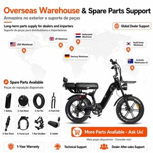 Vélo de montagne électrique VOMO 20 pouces, moteur sans balais 250W, batterie lithium 48V, double suspension, vélo urbain à pneus larges pour adultes - Product Image 2