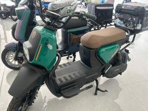 Bicicleta Eléctrica de Diseño Clásico, Nuevo Modelo, 60V, Largo Alcance, Motor Trasero Electrónico, para Adultos, con Potente Motor Trasero - Product Image 2