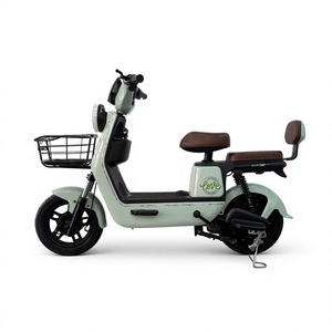 <b>Bicycle</b> Battery 1000W Step Through <b>Motor</b> 24 Volt Moteur Central 48V Price Mid Drive 750W Electronic City <b>For</b> 52 <b>Electric</b> Bike - Product Image 1
