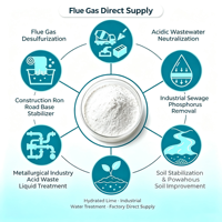 Hydroxyde de calcium de haute pureté, chaux calcaire en poudre blanche pour le traitement des eaux usées, ajustement du pH, usage industriel