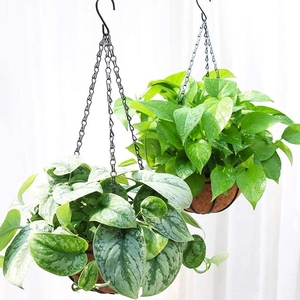 Canasta Colgante de Hierro para Decoración de Pared Exterior, <span class=keywords><strong>Maceta</strong></span> de Hierro, Canasta Colgante de Coco de 8''-16'' - Product Image 3