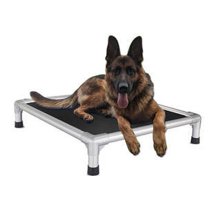Kau sicheres erhöhtes Hunde bett-Kühlung Erhöhtes Haustier bett-Silber-Aluminium rahmen und strap azier fähiges Teslin-Netz gewebe Einzigartig gestaltet - Product Image 1