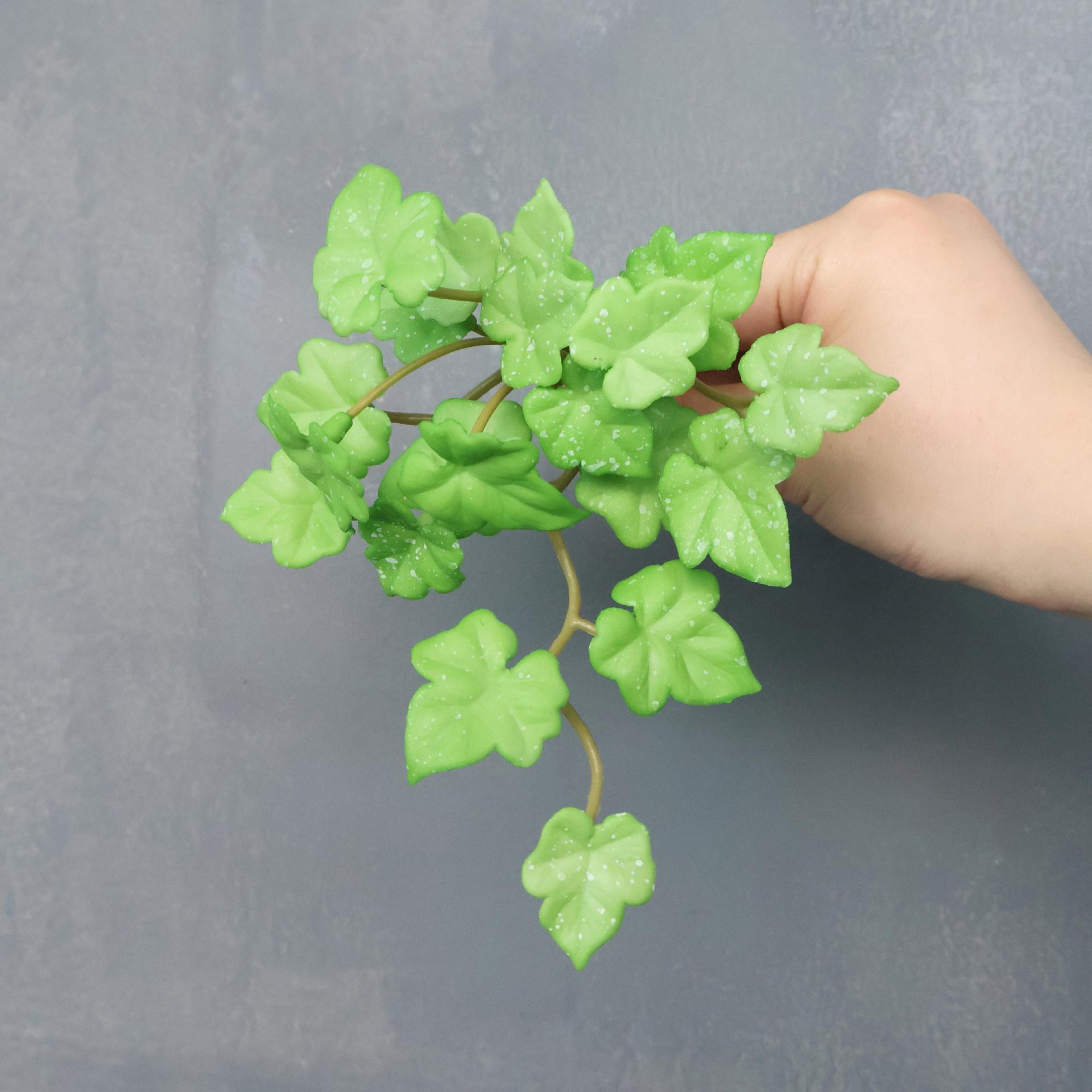 Petit bouquet de géranium vert avec des taches blanches