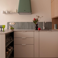 Fabricant direct d'usine, bois massif, contreplaqué, panneaux de particules, MDF, lave-linge, four, réfrigérateur encastré, armoire de cuisine sur mesure