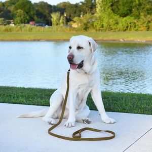 Nouvelle conception de laisse pour chien imperméable, longue et souple en PVC, pour la chasse, la marche, la course et l'escalade - Product Image 4