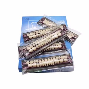 Dents en résine acrylique dentaire multicouche OEM pour prothèses dentaires Dents en acrylique en résine synthétique Prothèse dentaire - Product Image 2