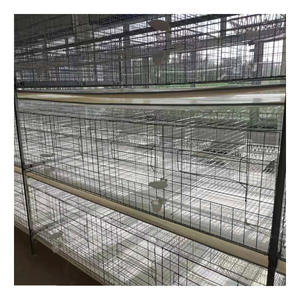 <span class=keywords><strong>Cage</strong></span> d'élevage de pigeons fabriquée en usine avec mangeoire et abreuvoir - Product Image 6
