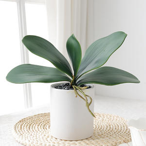 Arreglo Floral de Bonsái, Nueva Planta Verde de Simulación de Hojas de Phalaenopsis con Pegamento Suave de Alta Gama para Jardinería - Product Image 1