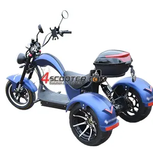 2020 Citycoco Amerika 3 Roda Skuter Listrik 3000W Data Kustom Sepeda Motor Sepeda Motor Roda Tiga