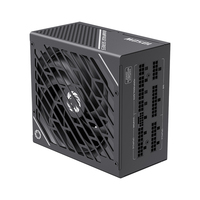 GAMEMAX GX-1050W Pro BK ATX 3.0 PCIe 5.0, 135mm F.D.B Ventilateur, capacité japonaise 80 Plus Platinum Alimentation entièrement modulaire