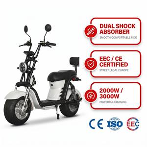 2000w Two-wheel Aluminum Scooter with <b>72v</b> Lithium <b>Battery</b>-citycoco As-hb011 1. High-retention Drive Engineering (motor & - Product Image 1
